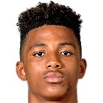 Gedson Fernandes